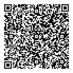 echo $qr_code['alt'];